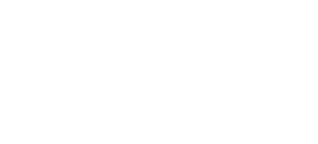 6IX VZN Logo